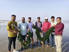 
      
      Gujarat highlights Seaweed farming at VGRC
      
      