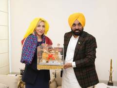 
      
      Punjab CM Bhagwant Mann bats for strategic tie-up with UK
      
      