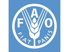 
      
      Renewable water availability per person plunges 7% in decade: FAO
      
      