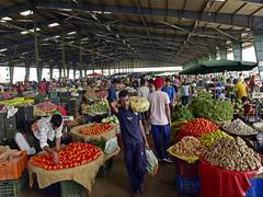 
      
      Consumer inflation in country to stay low at 0.4% in Oct–Dec
      
      