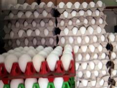 
      
      FSSAI to collect samples to check nitrofurans presence in eggs
      
      