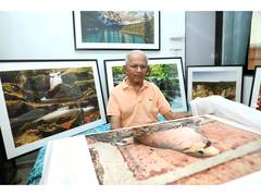 
      
      Wildlife Photography in the Age of AI: Prakash Desai's
      
      