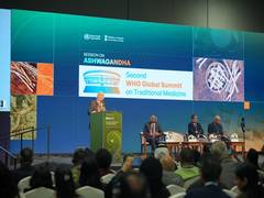 
      
      Global experts chart Ashwagandha’s future
      
      