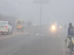 
      
      Cold wave intensifies in UP causing hardships to locals
      
      