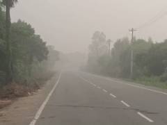 
      
      Motorists battle near-zero visibility in Chengalpattu
      
      
