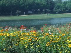
      
      Delhi’s Yamuna Riverfront becomes Venue for public bookings
      
      