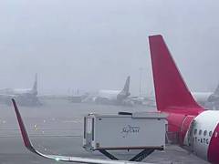 
      
      Delhi Airport, IndiGo and AAI issue travel advisory due to fog
      
      
