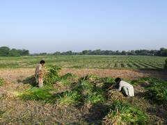 
      
      Pakistan farmers take climate justice case to Germany
      
      