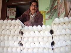 
      
      Eggs safe for consumption; cancer risk claims unfounded: FSSAI
      
      