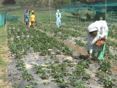 
      
      Centre releases over Rs 127 crore to support rural local bodies
      
      