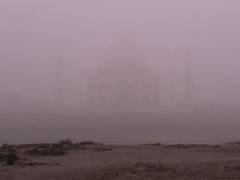 
      
      UP: Thick fog blankets Agra, Ayodhya as winter chill intensifies
      
      