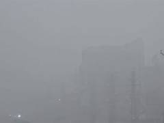 
      
      Dense fog blankets Rajasthan's Dholpur and Dausa districts
      
      