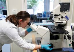 
      
      Brain enzyme discovery may open new path
      
      