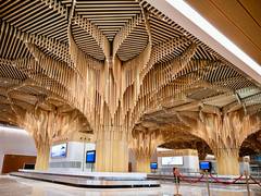 
      
      Guwahati’s new Adani airport terminal represents critical step in
      
      