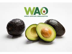 
      
      The Rapid Growth of Avocado Imports in India
      
      