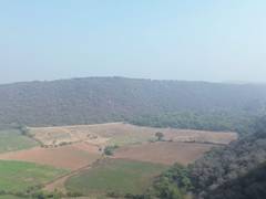 
      
      Centre committed to keeping Aravalli safe, says Bhupender Yadav
      
      