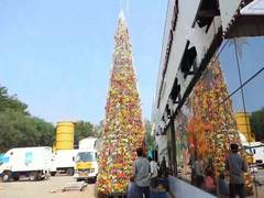 
      
      Eco-friendly Christmas tree set up in Malappuram
      
      