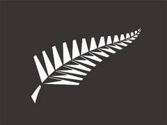 
      
      NZC introduces new bonus point system for Women’s Super Smash
      
      