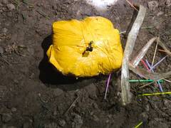 
      
      Punjab Police in joint op with BSF recovers 12.050 Kg of heroin
      
      
