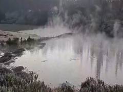 
      
      Ooty: Temperature drops to -1°C in Talakunda, tourist ban imposed
      
      