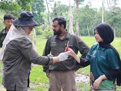 
      
      Indonesia engages Vantara's expertise to curb elephant deaths 
      
      