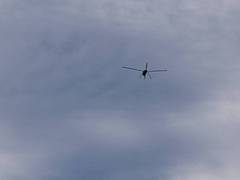 
      
      Taiwan detects 6 Chinese aircraft, 8 naval vessels, 1 ship
      
      