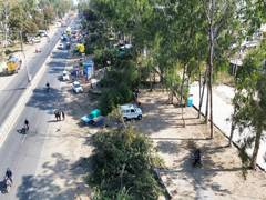 
      
      MP: NGT orders halt on tree felling after massive cutting of tree
      
      