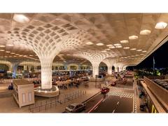 
      
      CSMIA sets record growth in 2025
      
      