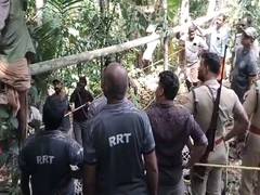 
      
      Kerala: Tiger falls into well in Pathanamthitta
      
      