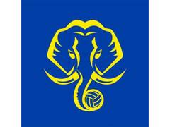 
      
      Kerala Blasters FC announce Tiago Alves' exit
      
      