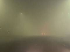 
      
      Heavy fog blankets Delhi-NCR
      
      