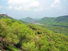 
      
      Aravalli faces shrinking forests, vanishing hills, biodiversity
      
      