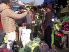 
      
      J-K: Sunderbani undergoes organic agricultural transformation
      
      