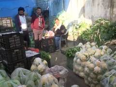 
      
      Organic farming boom in Rajouri’s Sunderbani transforms district
      
      