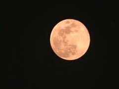 
      
      First supermoon of 2026 lights up Guwahati sky
      
      