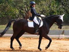 
      
      Mumbai's Stasya clinches silver at Junior Equestrian C'ship 2025
      
      