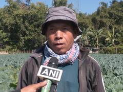 
      
      Progressive Farmer’s success story
      
      