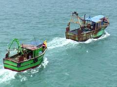 
      
      Invasive 'alien' fish spreads in Pakistani waters
      
      