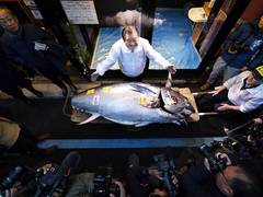 
      
      Japan: Bluefin tuna fetches record USD 3.2 million in Tokyo
      
      