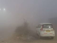 
      
      Heavy fog reduces visibility in Jaipur
      
      