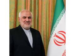 
      
      Iranian envoy to India slams US remarks on Iran protests
      
      