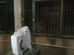 
      
      Authorities of Assam State Zoo take measures to keep animals warm
      
      