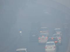 
      
      Delhi freezes as cold wave intensifies
      
      