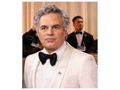 
      
      Mark Ruffalo slams US President Donald Trump after ICE killing
      
      
