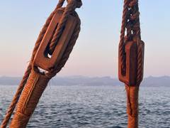 
      
      Day 18: INSV ‘Kaundinya’ sights land near Oman
      
      