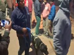 
      
      Jharkhand: Blast in Hazaribagh claim lives of three
      
      