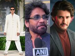 
      
      B-town celebs wish Makar Sankranthi
      
      