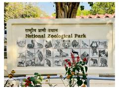 
      
      Delhi Zoo forms committee to inquire into jackal's death
      
      