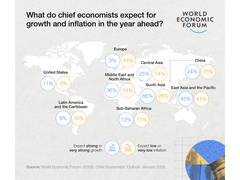 
      
      South Asia leads emerging market growth, India anchors: WEF
      
      