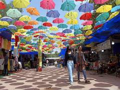 
      
      Delhi: PM Vishwakarma Haat 2026 to be organised in Dilli Haat
      
      